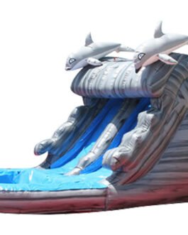 12ft dolphin water slide