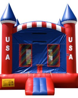 13 usa castle