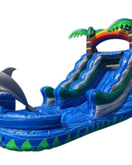 13ft dolphin water slide