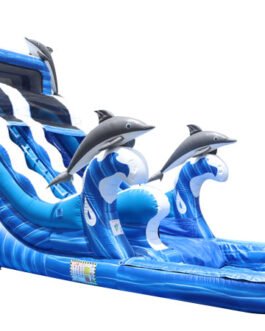 16ft dolphin wave slide