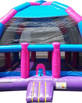 20ft princess bongo bounce