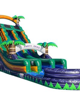 22ft dual lane party gras waterslide