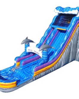 22ft wild thing water slide