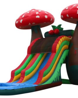 23ft mushroom water slide