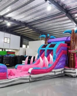 Pink Dino Dive XL Wet-Dry Combo For Sale – BounceWave Inflatable Sales