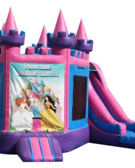 princess dream castle